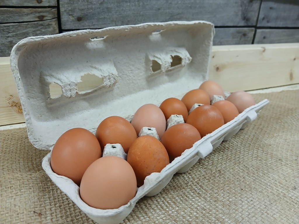 Pastured Eggs (Dozen)