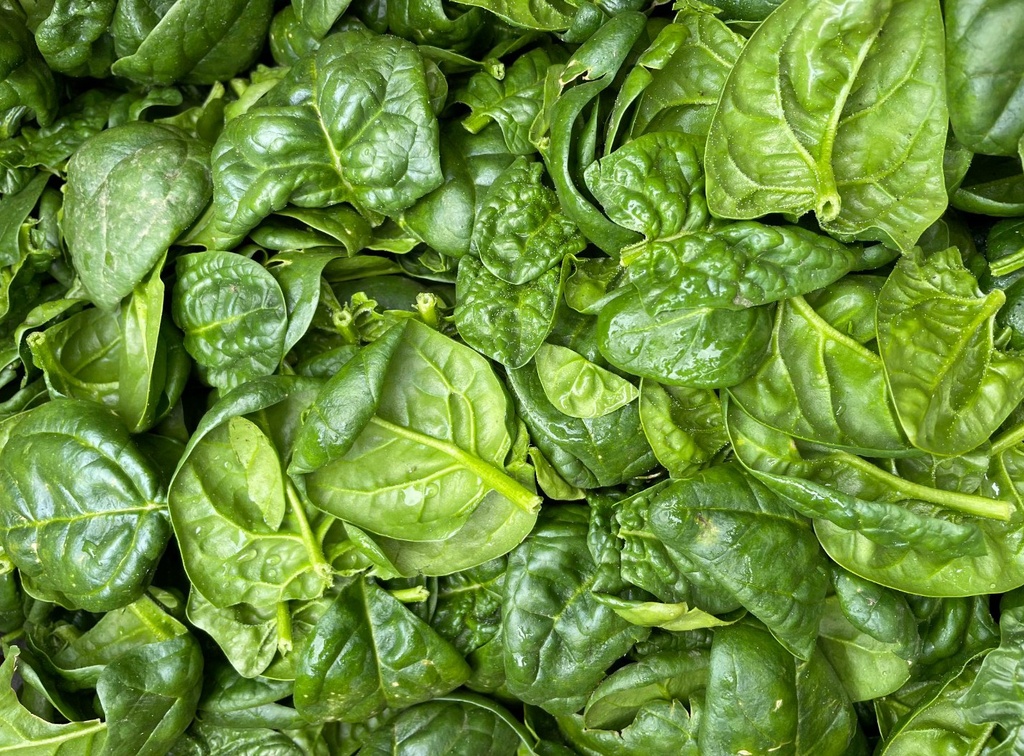 Spinach