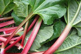 Rhubarb (lb)