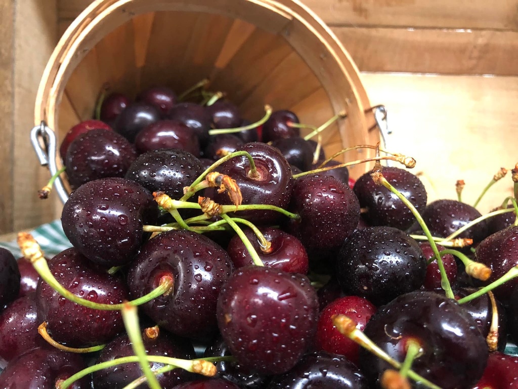 Cherries