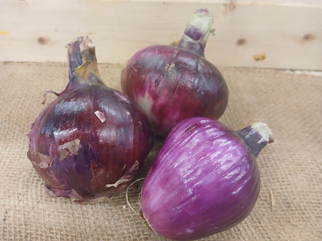 Red Onions