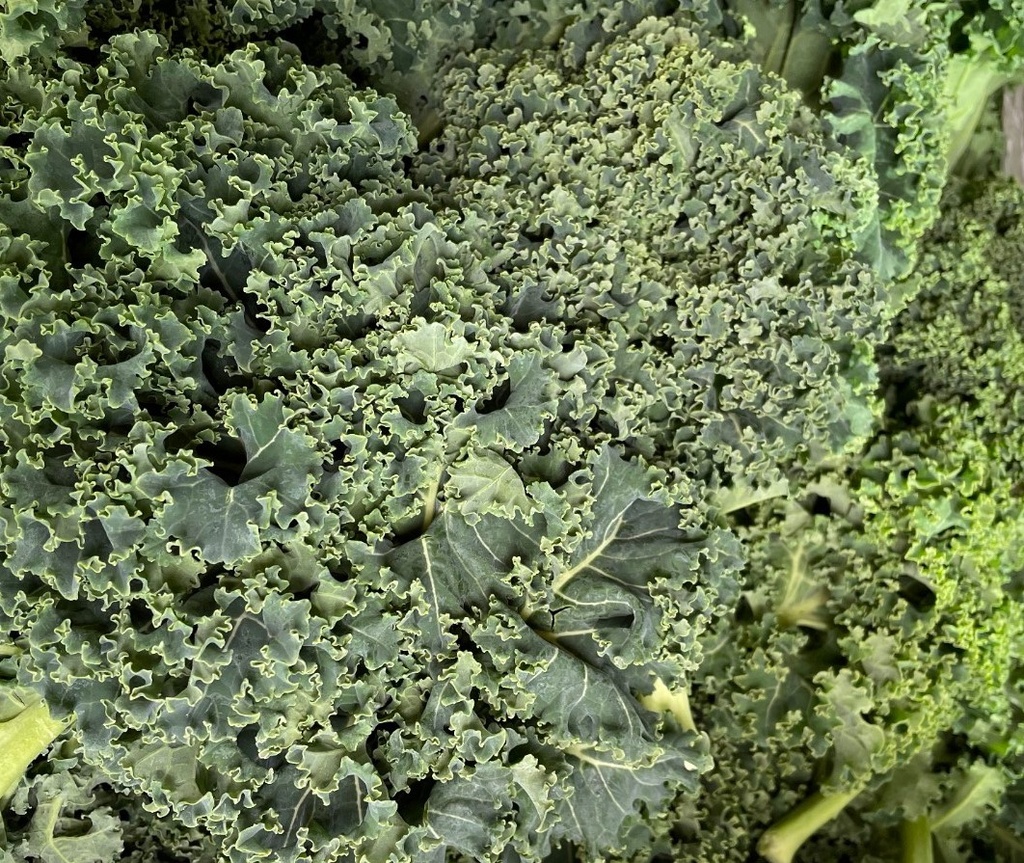 Kale BOGO