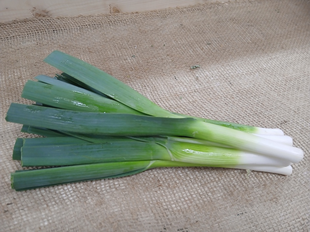 Leeks 