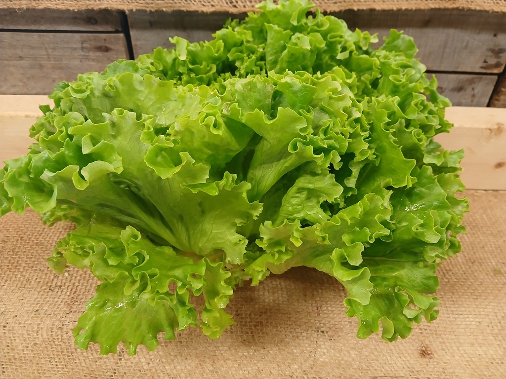 Lettuce BOGO