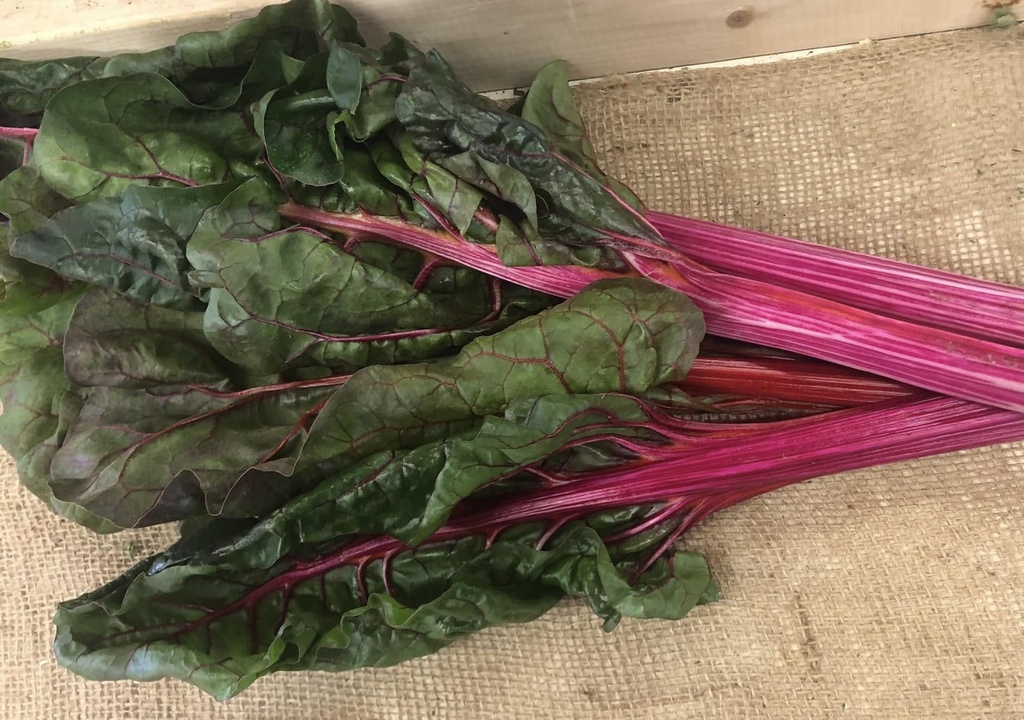 Swiss Chard 