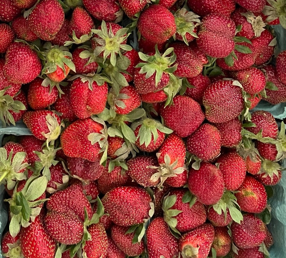 Ripe Strawberries (GREAT FOR JAM) Quart 