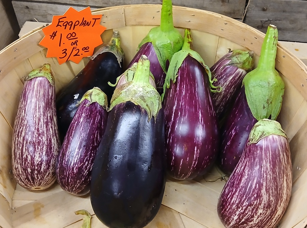 Eggplant (ea) BOGO