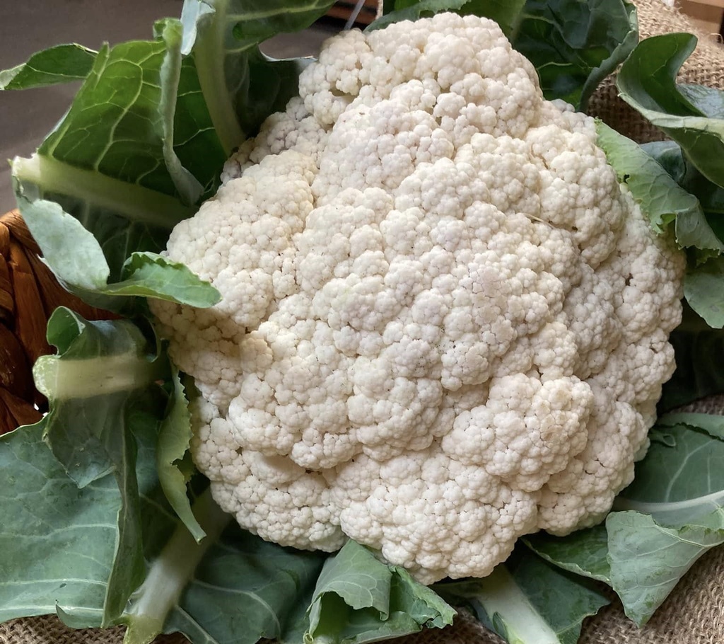 Cauliflower 