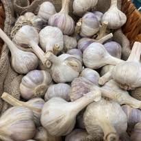 Garlic (head)