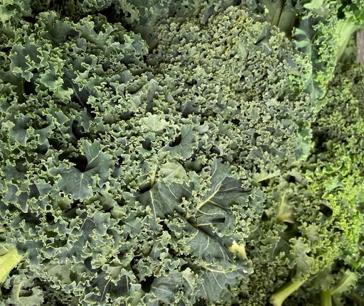 Kale