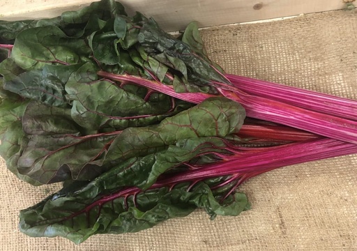 Rainbow Swiss Chard 