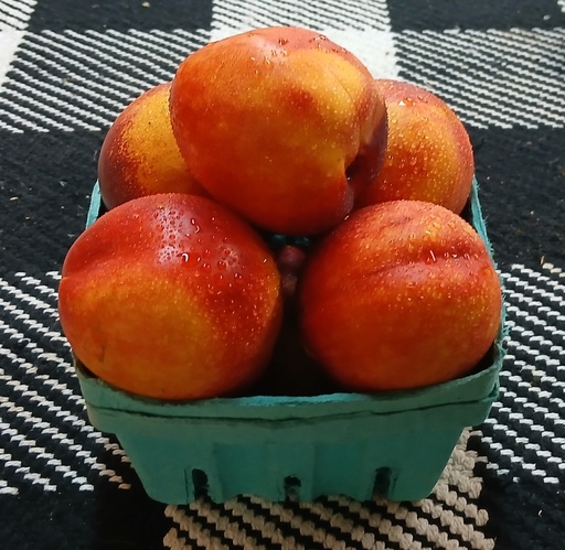 Nectarines (Quart)