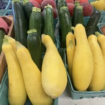 Yellow Zucchini (one)