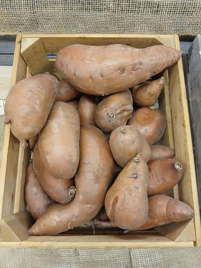 Sweet Potatoes by LB 
