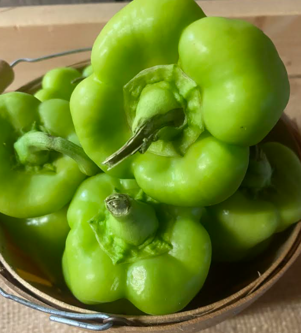 Green Peppers (Quart)