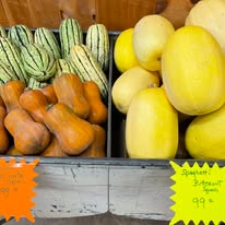 Baby Butternut Squash (2 pieces)  
