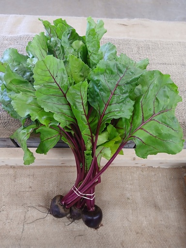 Beets 