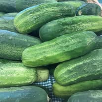 Kirby Cucumbers (one) BOGO
