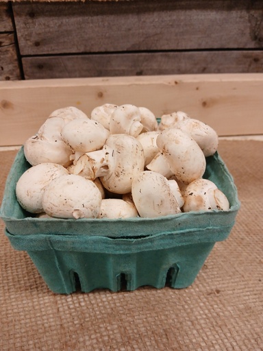 Mushrooms 