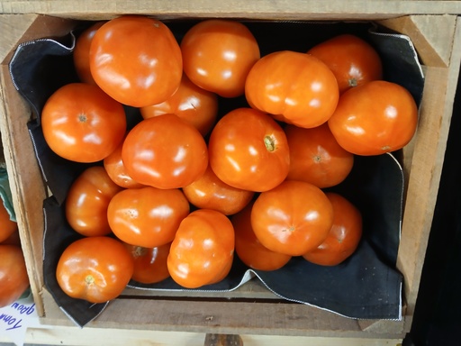 Tomatoes by LB