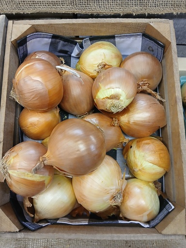 Lg Candy Onions (qt) 