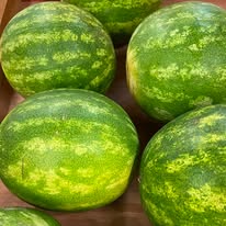 Watermelon (Red, Seedless)